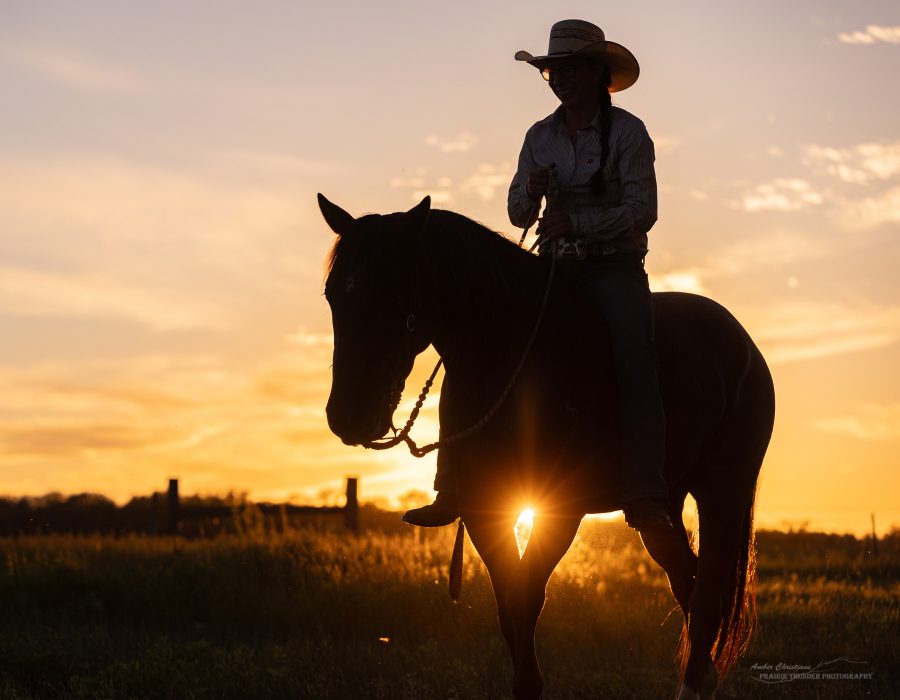 sunset horse girl photo sunset horse girl photo