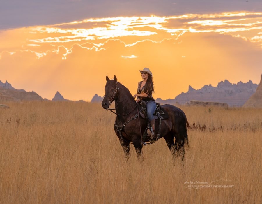 family horse photo family horse photo